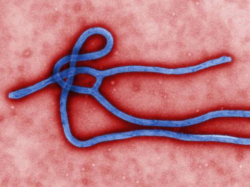 Ebola Virus in West Africa