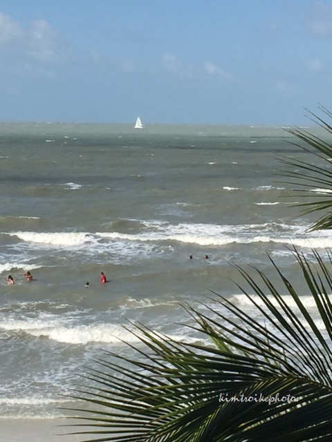 ffffffffftmyerIMG_3651